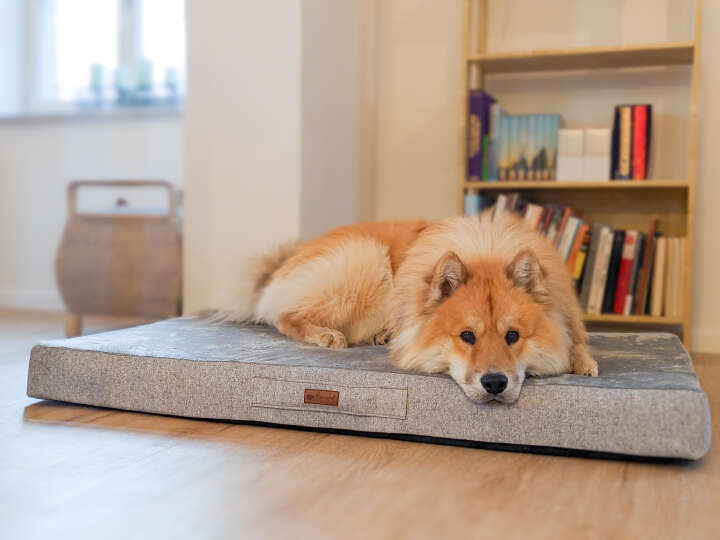 petlando Orthopädisches Kissen "Merano"